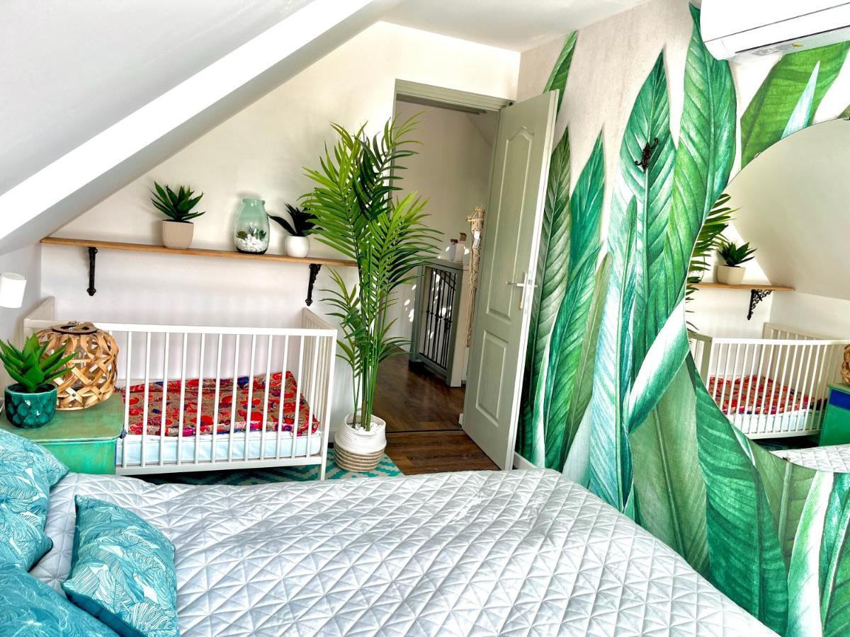 Bohemian Eco Lodge Kisapati Εξωτερικό φωτογραφία